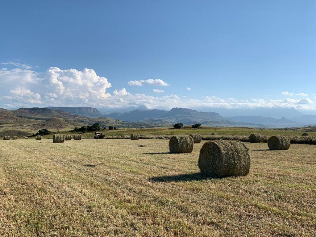 Kezlyn Farm Cottages Бергвил Екстериор снимка